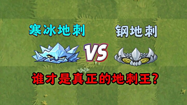 新地刺vs旧地刺，谁才是真正的地刺王？