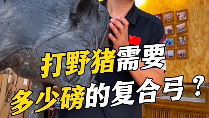 How many pounds of a compound bow do you need for wild boar hunting?