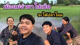 วันนี้แม่จ๋า พาใส่เบ็ด กลางทุ่งนา จะได้ปลาไหมมาดูกันครับ [อ้ายนาวิน]