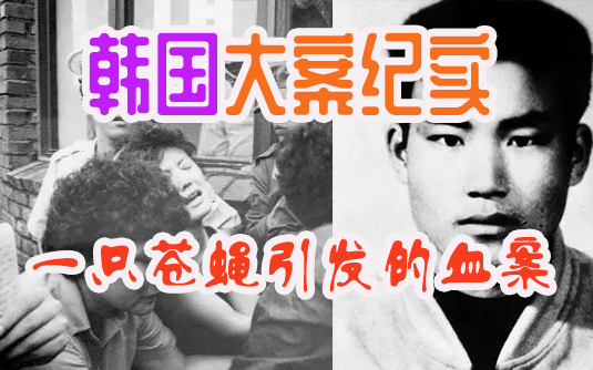 韩国"疯虎"暴走屠村事件，一只苍蝇引起的蝴蝶效应，61位无辜平民遇害！
