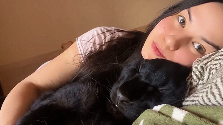 Kalau kucing hitam besar seperti ini tidur di sampingmu, relakah kamu bangun?