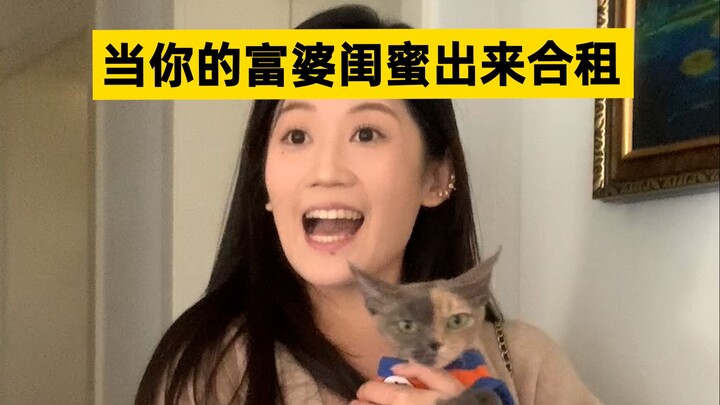 《富二代沦落合租房，新室友惹出新风波》