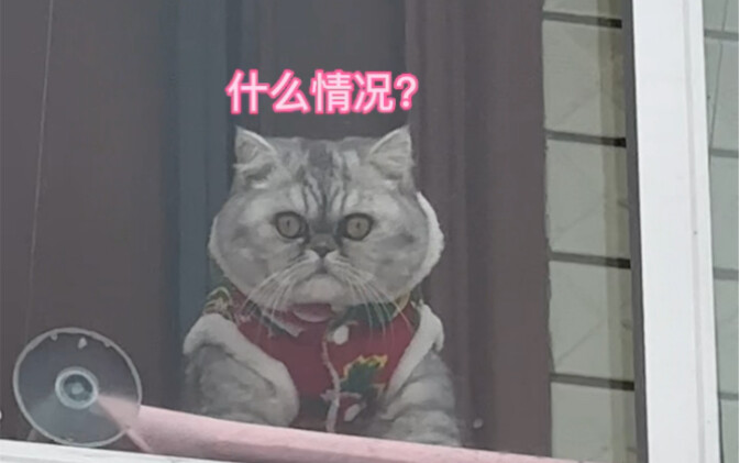 狂热的妈耶粉来家里吵着要看妈耶