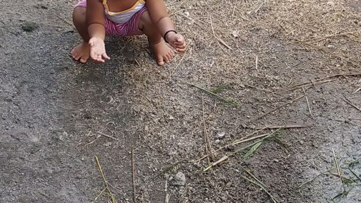 baby kuha duck