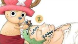 [MAD]Chopper depends much on Zoro|<One Piece>