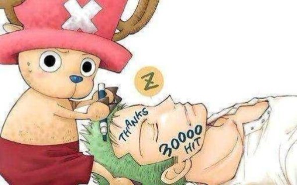 [MAD]Chopper depends much on Zoro|<One Piece>