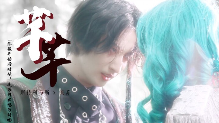 『假面骑士Saber/斯特利乌斯X流苏』“你最开始的时候，是为什么想写诗呢...”