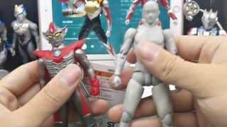 กระบวนการทั้งหมดของการปฏิรูปตนเอง SHF Durham