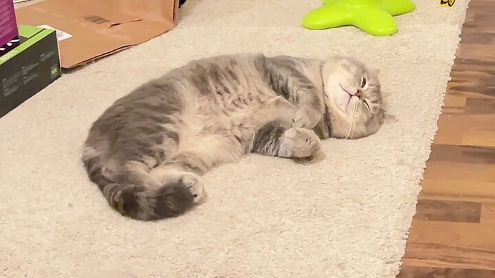 The boot speed exceeds 99.99% of users