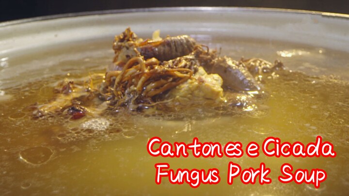 Cantonese Cicada Fungus Pork Soup