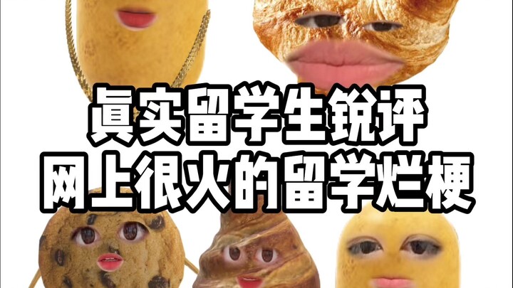 Have you come across these study-abroad memes? The last one is a total classic!