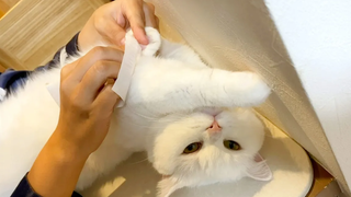 ฉันมีอาการภูมิแพ้บริเวณอุ้งเท้าตามปกติ