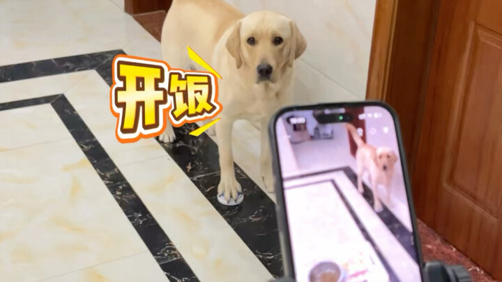 Để Đậu Bao nói về ăn uống đi