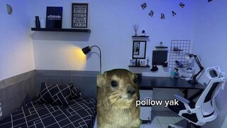 day one jadi konten creator