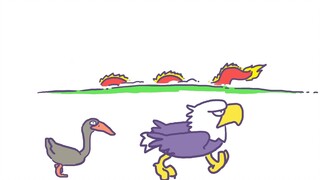 The bald eagle and his little follower were scared when walking on the road