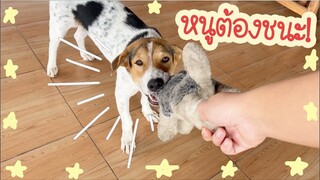 โลกของแสนดี ตอน ชักกะเย่อแข่งกัน!