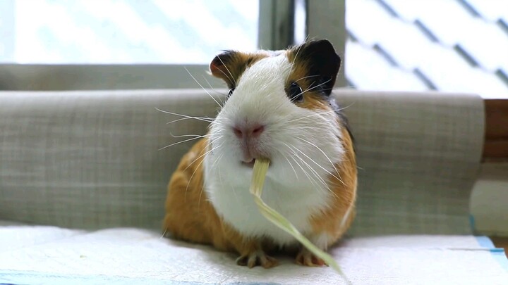 Naruto edit - positive vibes - audio menenangkan