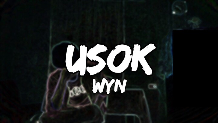 USOK - WYN (Official Lyric Video)