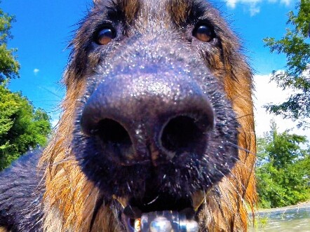 แองเจล่าจะพาคุณผ่านฤดูร้อนอย่างเย็นสบาย!