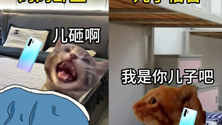 November 11 (Part 2): When the Post-00s Generation Becomes Parents