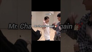 Not BSS squealing like teenage girls 😩 I am BSS, BSS is me 🤧 #seventeen #dino