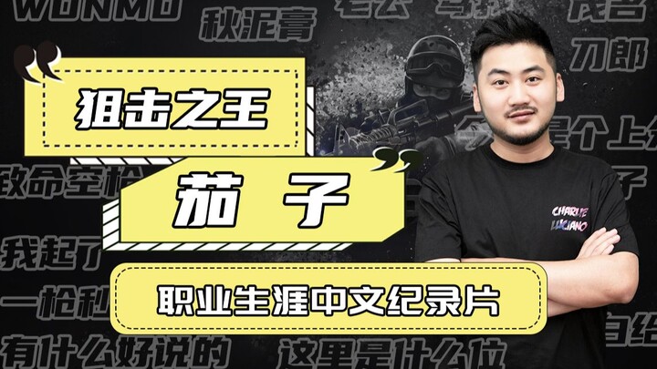 【csgo茄子】首部大型纪录片《中国狙神》十年王者无人识，一朝白给天下知！这一部的茄子，颠覆你的认知！