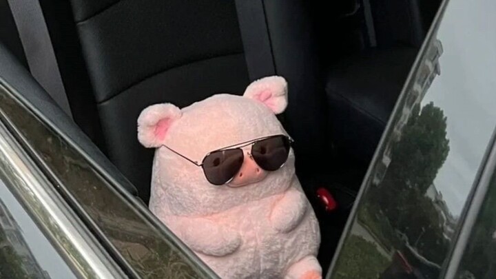 POV: you open my gallery