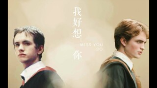 [Cedric Diggory x Oliver Wood] Tôi Rất Nhớ Anh 我好想你