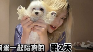 Ngày thứ hai cùng Gou Dan ăn GL! Ngon quá đi mất á á á á á á á