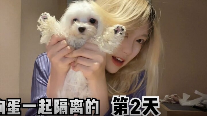 The second day of GL with Gou Dan! It's so delicious, oh my god!