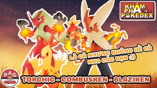 Tìm hiểu về Torchic - Combusken - Blaziken: Là GÀ nhưng không hề GÀ | Khám Phá Pokedex | PAG Center