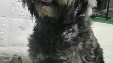 Toptop name nya mabait sya