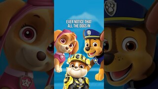 Paw Patrol Names are Low Key Confusing! 🥴 #shorts