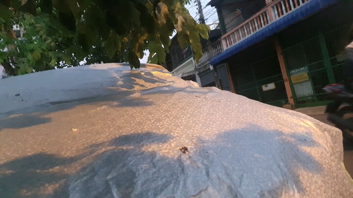 เซอร์ไพรส์โย