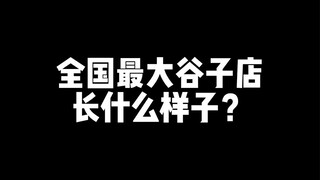 全国最大谷子店即将开业！