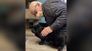 Homeless veteran spends all his money to save injured stray cat