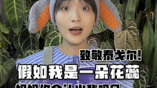 When a plant enthusiast gets inspired to write poetry! A tribute to Tagore's "The Golden Flower"～