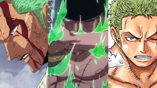 7 Pertarungan terbaik Roronoa Zoro. Keren banget guys Zoro.