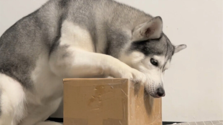 هذه أول مرة أفكك فيها، لذا لست متمكّنًا تمامًا.