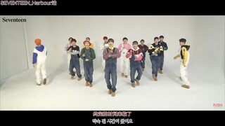 [Subtitel bahasa Mandarin SVT_Harbour] 170110 TUJUH BELAS [Video Koreografi] KEBAHAGIAAN