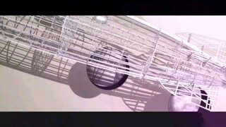 Nisemonogatari / Những câu chuyện Huyền Bí - SS2 - Tập 6 - 2011 - HD