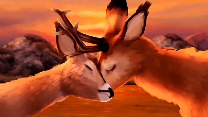 Innovative style! Won France's Best Animation Award! And this is actually a student's graduation pro