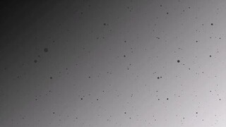 Mugiwara no ichimi Setelah Time Skip🗿