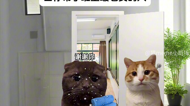 Khi bạn giúp người hiền lành nhất lớp