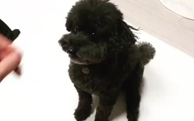 พัคชานยอล: วันนี้โดฟไม่ร้อนมือแล้ว!
