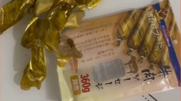 Gói xúc xích này phải ngon đến mức nào mà cả 20 cây trong túi đều bị cô ấy chế biến hết rồi