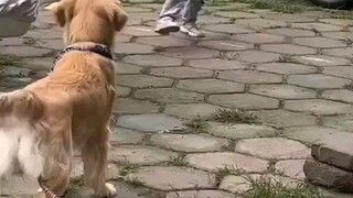 爱孩tv😺