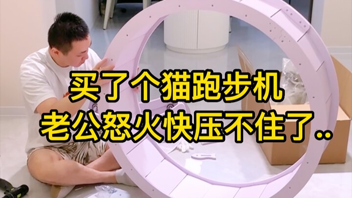 Mua máy chạy bộ cho mèo thì sẽ gặp phải hậu quả gì?