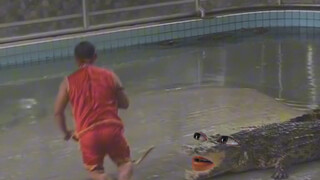 Buaya: Kak, aku cuma bercanda kok