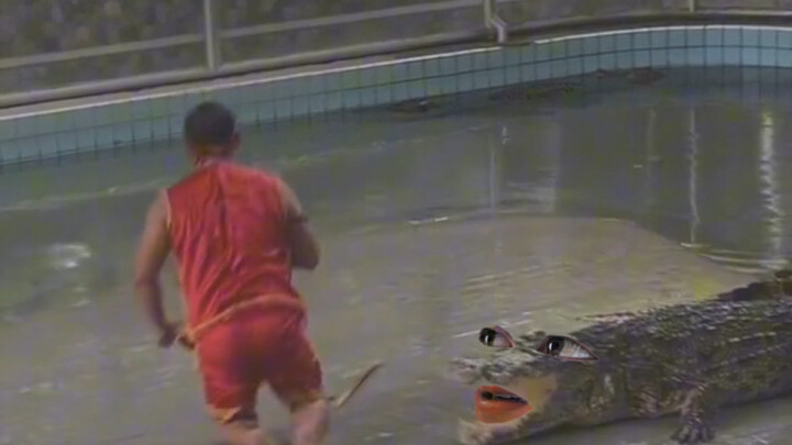 จระเข้: พี่ครับ ผมล้อเล่นน่ะ